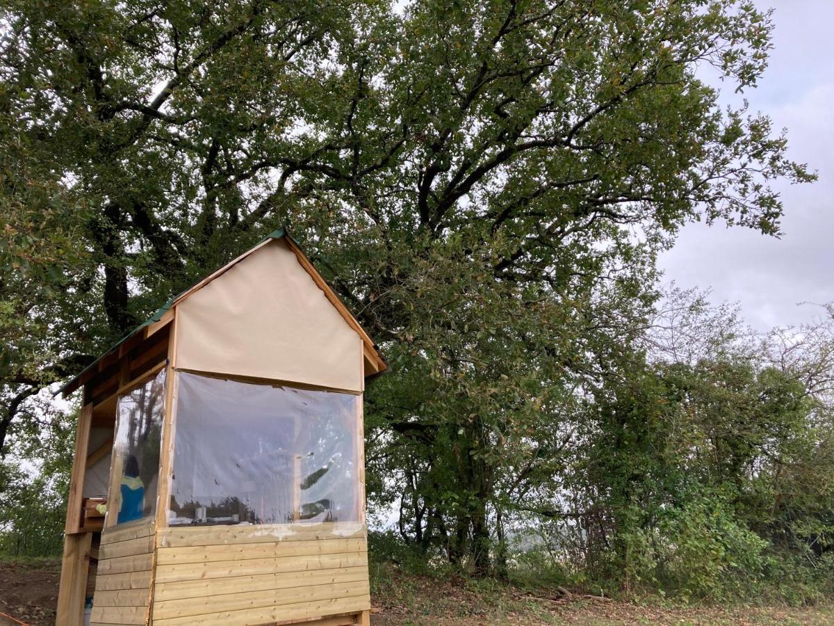 Cabane Bivouac Avec Echelle A L'Ombre Des Chenes Idrac-Respailles Buitenkant foto